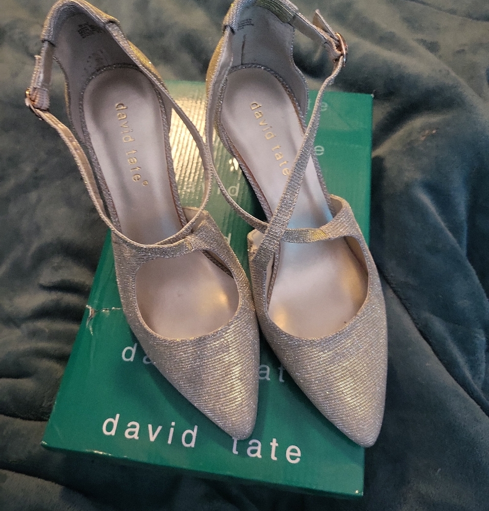 David Tate Silver Sparkle Pointed-Toe Slingback Heels